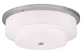 Livex Lighting - 50867-91 - Five Light Ceiling Mount - Meridian - Brushed Nickel