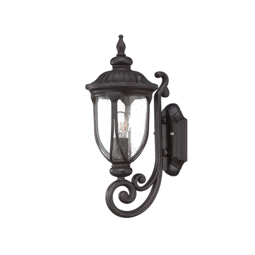 Acclaim Lighting - 2201BC - One Light Outdoor Wall Mount - Laurens - Black Coral