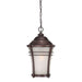 Acclaim Lighting - 39626ABZ - One Light Outdoor Hanging Lantern - Vero - Architectural Bronze