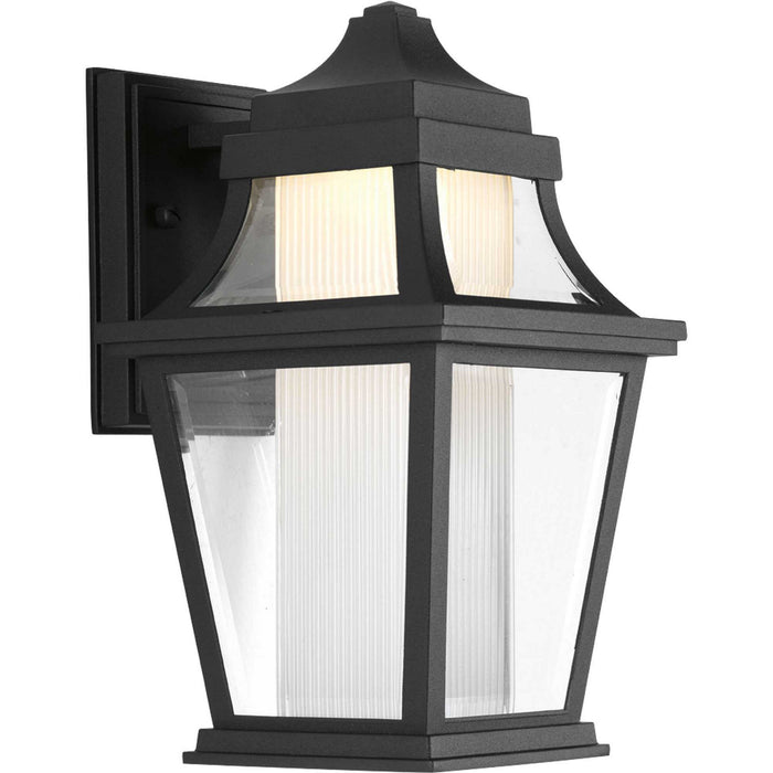 One Light Wall Lantern from the Endorse collection in Black finish