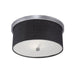 Millennium - 3122-BPW - Two Light Flushmount - Jackson - Brushed Pewter