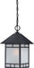 Nuvo Lighting - 60-5604 - One Light Hanging Lantern - Drexel - Stone Black