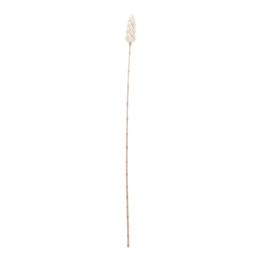 ELK Home - 7163-069N - Ornamental Accessory - Sceptre - Natural