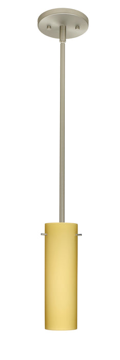 Besa - 1TT-4930VM-LED-SN - One Light Pendant - Copa - Satin Nickel