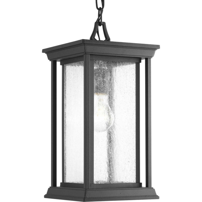 One Light Hanging Lantern from the Endicott collection in Black finish