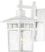 Nuvo Lighting - 60-3491 - One Light Wall Lantern - Cove Neck - White