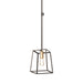 DVI Lighting - DVP29021MF+EB - One Light Pendant - Cape Breton - Multiple Finishes/Ebony