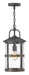 Hinkley - 2682DZ - One Light Outdoor Lantern - Lakehouse - Aged Zinc