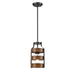 DVI Lighting - DVP41821GR+IW - One Light Mini-Pendant - Fort Garry - Graphite/Ironwood On Metal