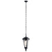 Kichler - 49236BSL - One Light Outdoor Pendant - Cresleigh - Black With Silver Highlights