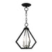 Livex Lighting - 40922-04 - Two Light Convertible Semi Flush/Pendant - Prism - Black with Brushed Nickel Cluster