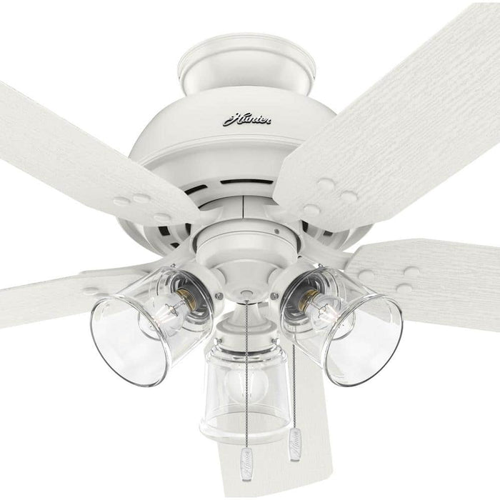 Hunter 52" River Ridge Ceiling Fan with LED Light Kit and Pull Chains