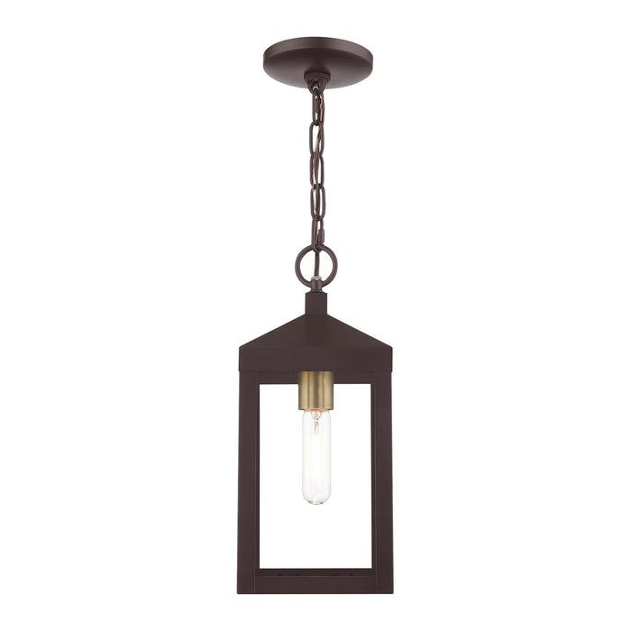 One Light Outdoor Pendant from the Nyack collection in Bronze with Antique Brass Cluser finish