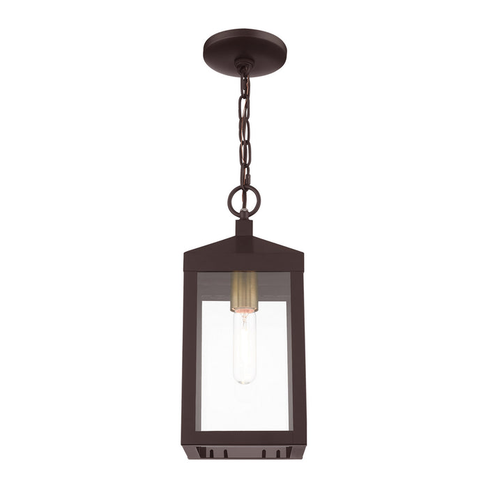 One Light Outdoor Pendant from the Nyack collection in Bronze with Antique Brass Cluser finish