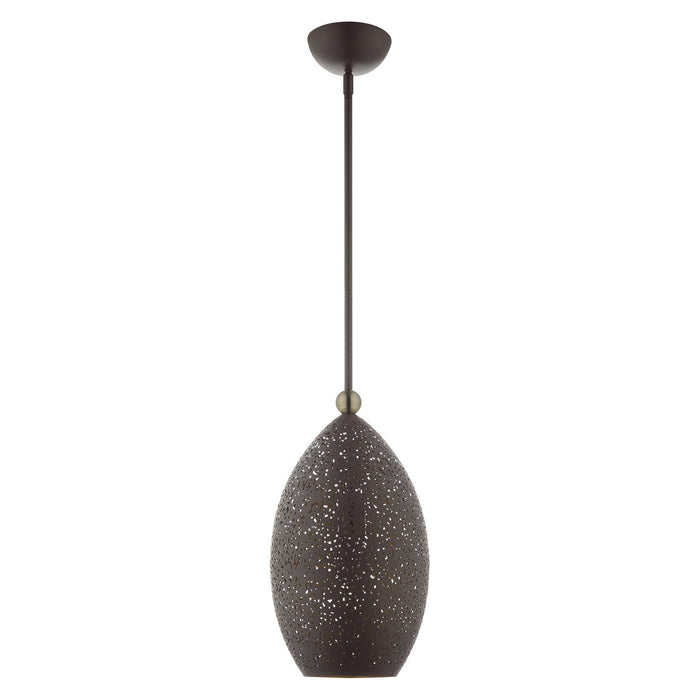 One Light Pendant from the Charlton collection in Bronze with Antique Brass Accents finish