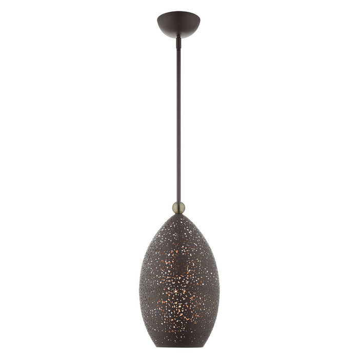 One Light Pendant from the Charlton collection in Bronze with Antique Brass Accents finish