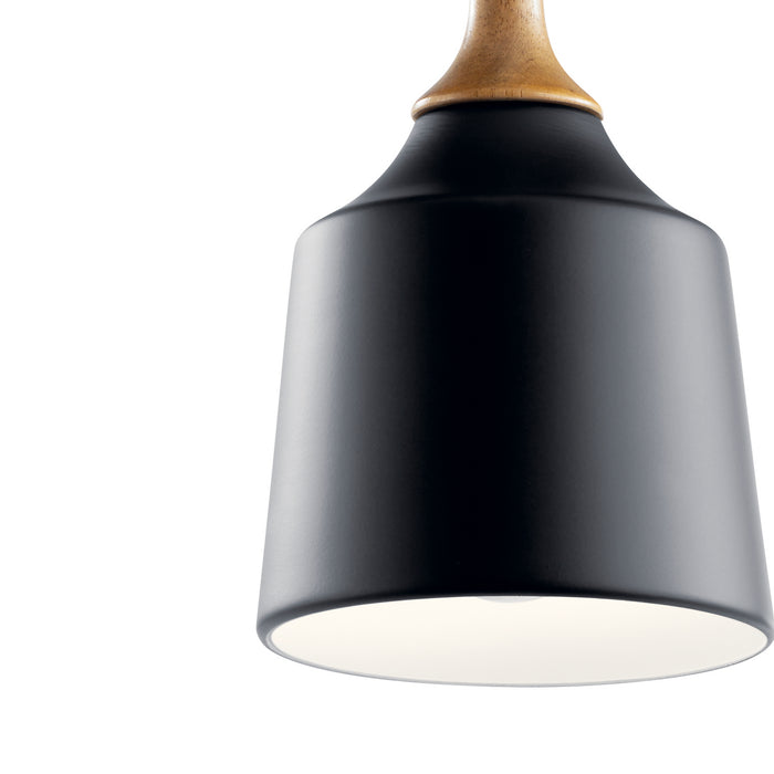 One Light Mini Pendant from the Danika collection in Black finish