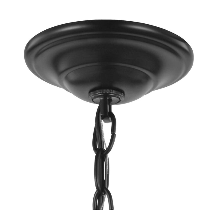 Four Light Pendant from the Equinox collection in Black finish