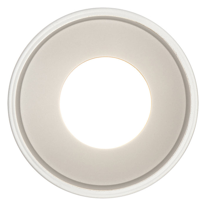 LED Pendant from the Pilson collection in Satin finish