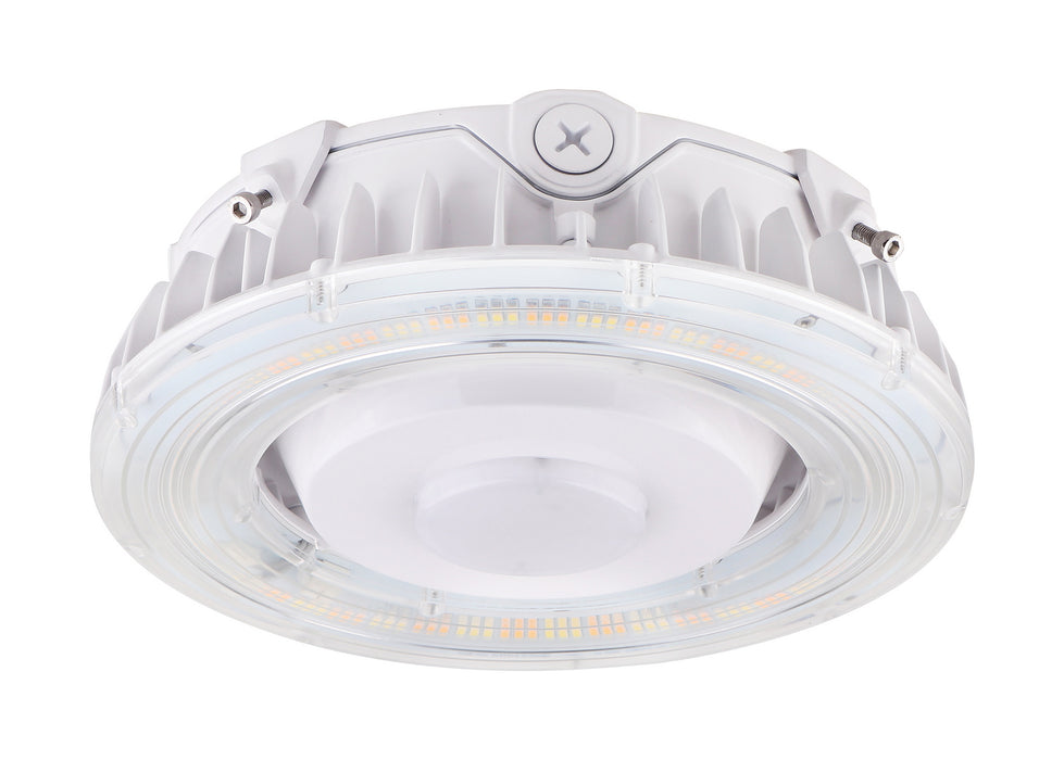 LED Canopy Fixture in White finish