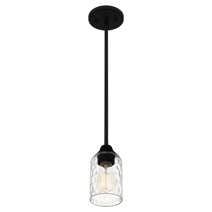 One Light Mini Pendant from the Acacia collection in Matte Black finish