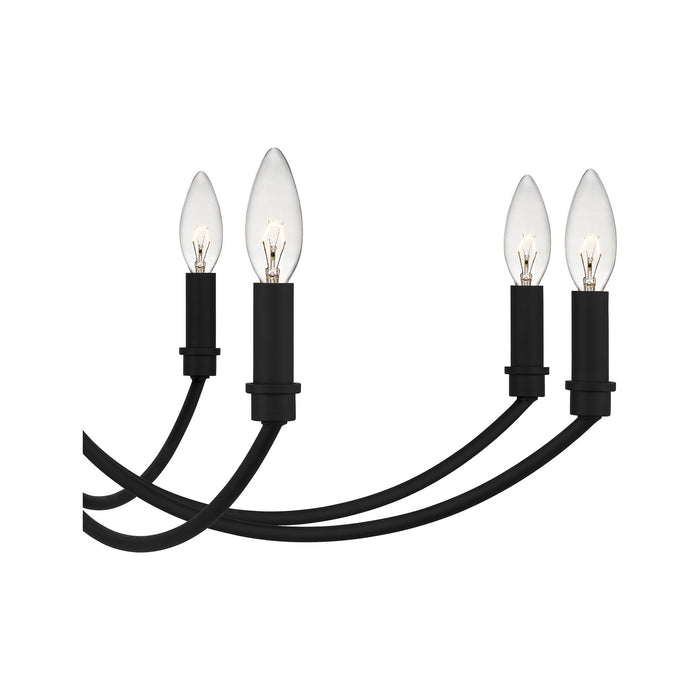 12 Light Chandelier from the Briar collection in Matte Black finish