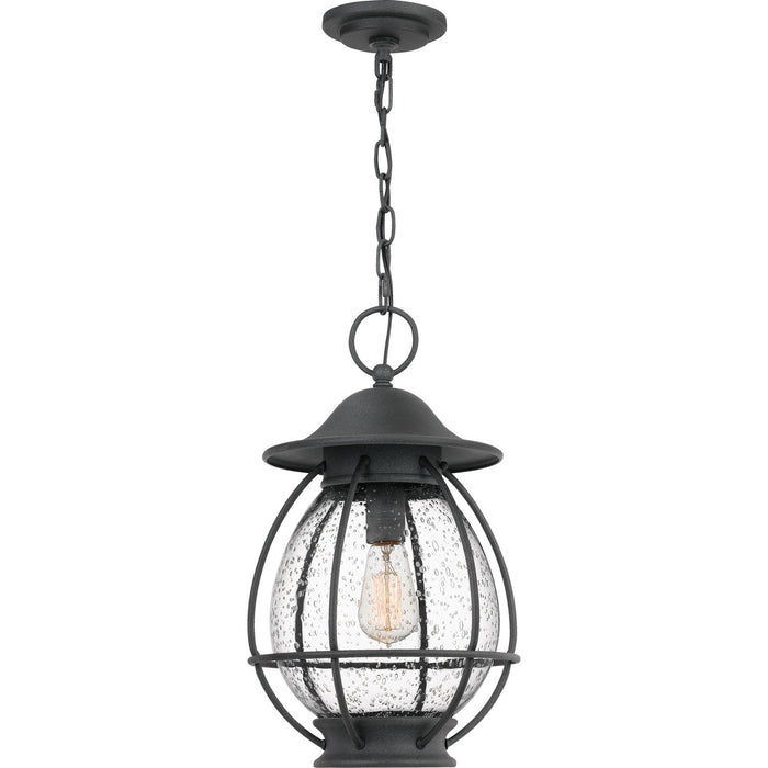 One Light Mini Pendant from the Boston collection in Mottled Black finish