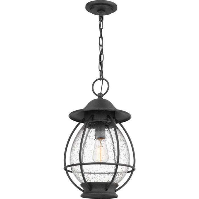 One Light Mini Pendant from the Boston collection in Mottled Black finish