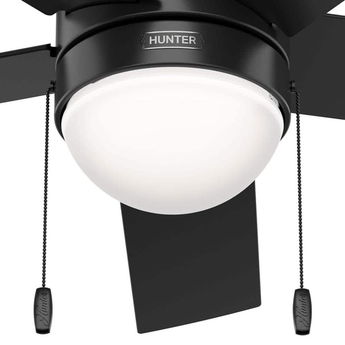 Hunter 44" Rogers Ceiling Fan with LED Light Kit and Pull Chains