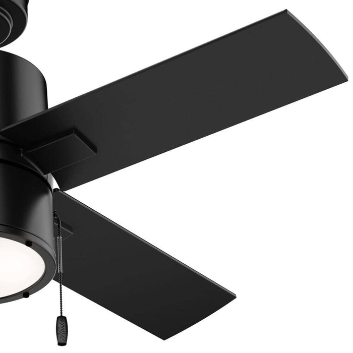 Hunter 42" Beck Ceiling Fan with LED Light Kit and Pull Chains