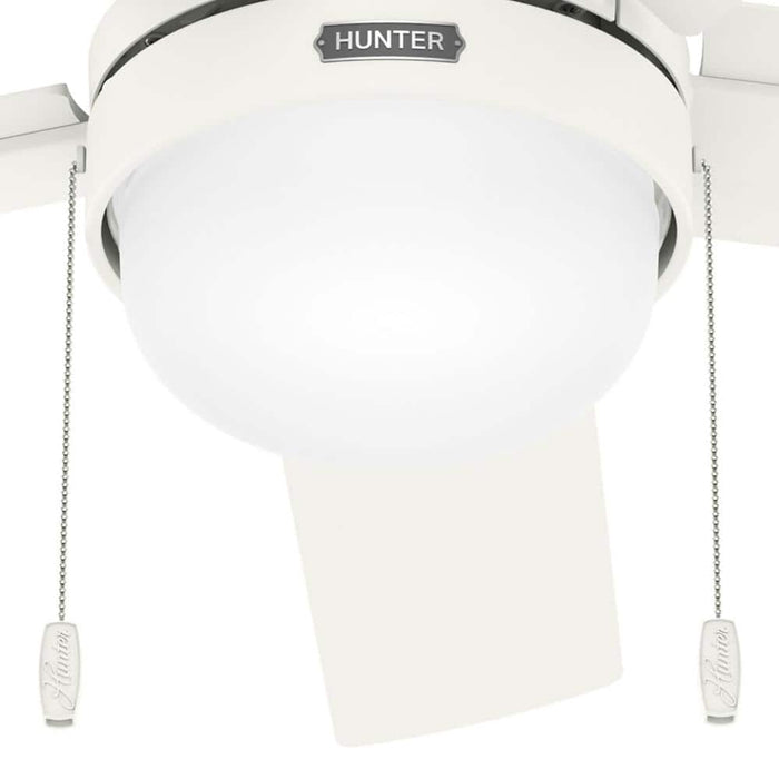 Hunter 44" Zeal Ceiling Fan with LED Light Kit and Pull Chains