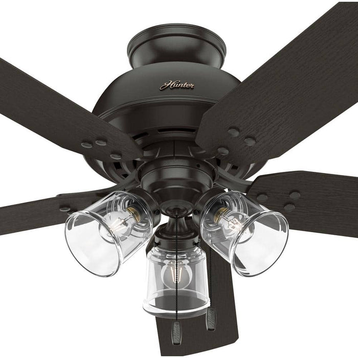 Hunter 52" River Ridge Ceiling Fan with LED Light Kit and Pull Chains